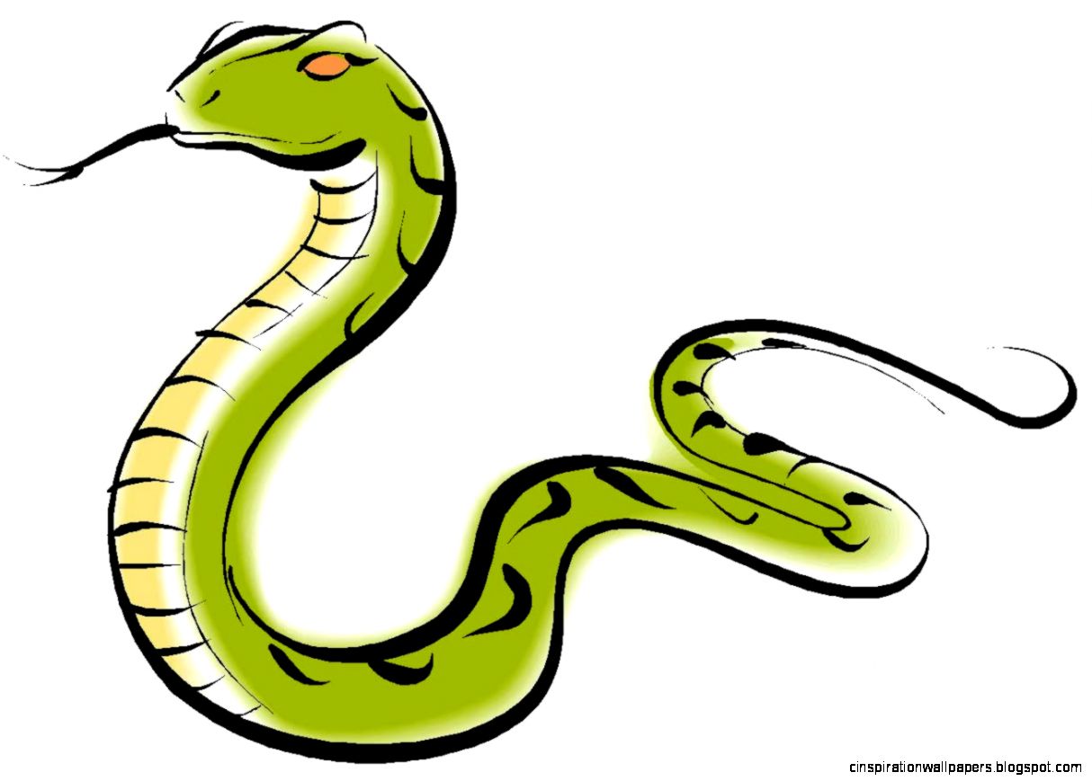 Snake Clip Art