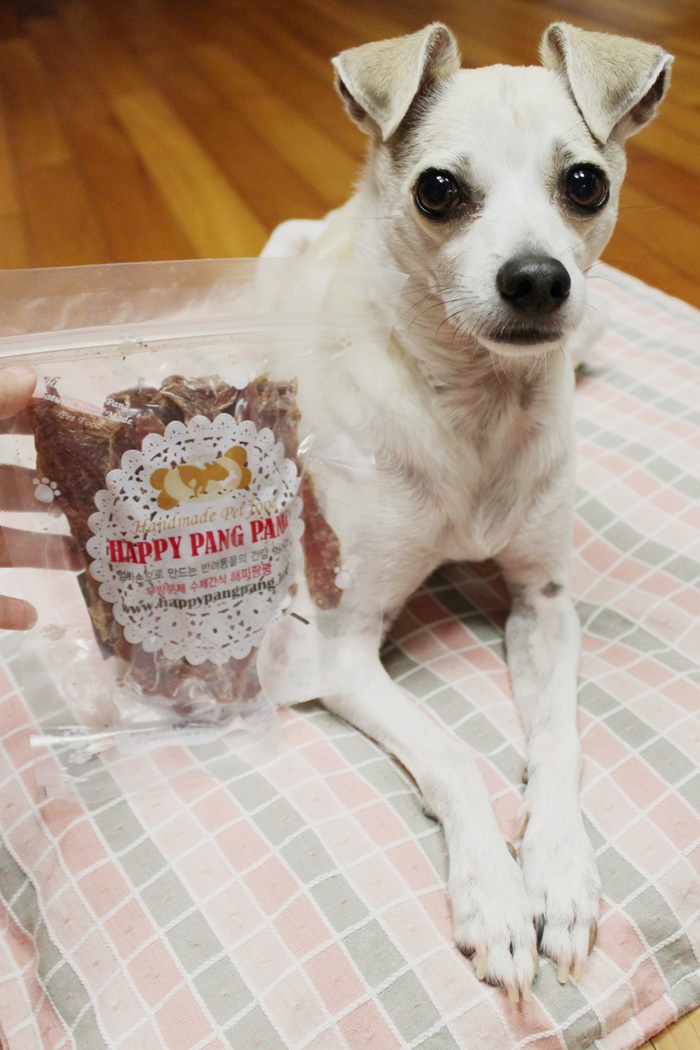 HAPPY Goes to Korean Dog Bakery
