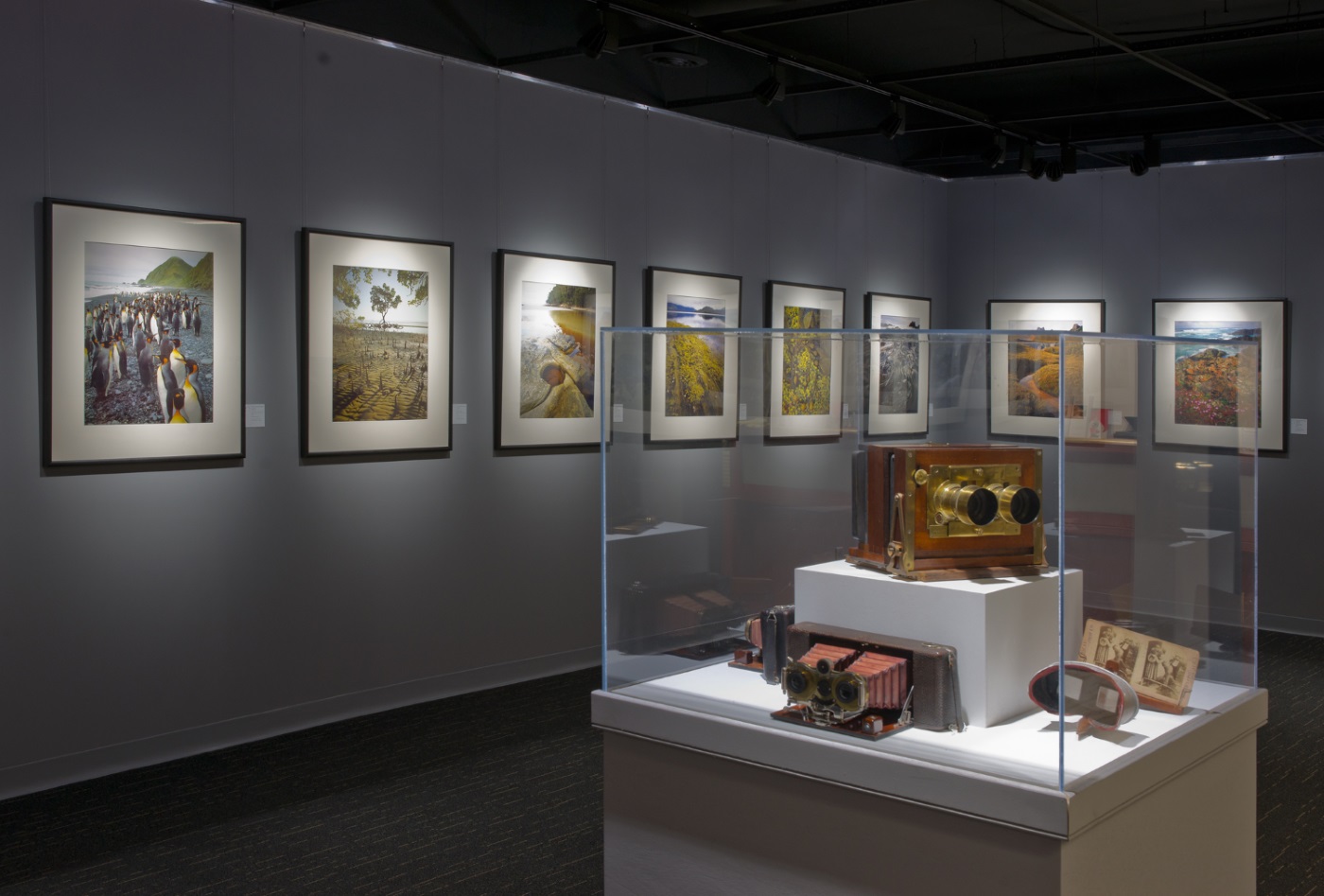 Techmediatainment 14 more unusual physical halls of fame