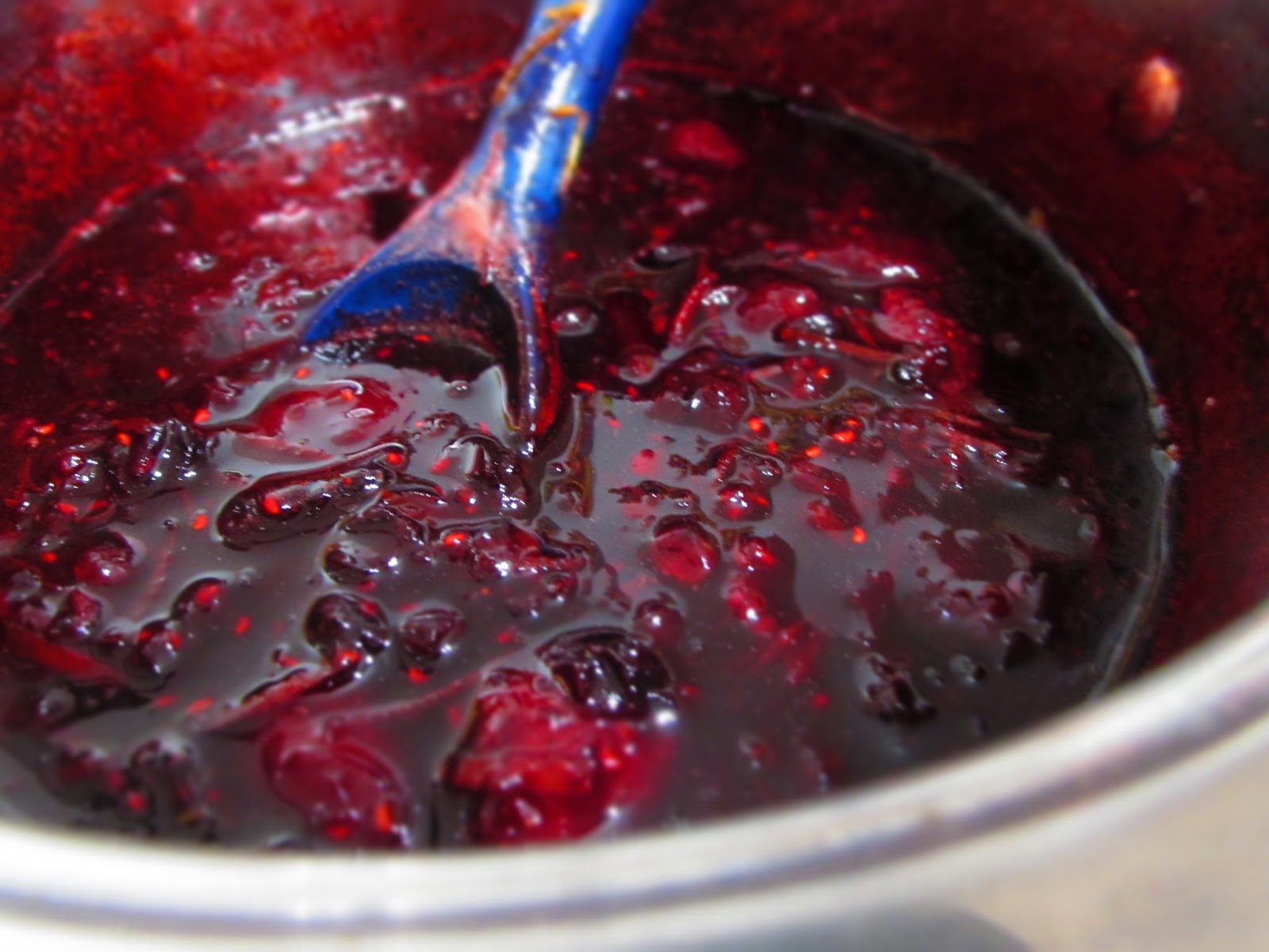 LA COCINA DE BARTOLO SALSA DE FRUTOS ROJOS