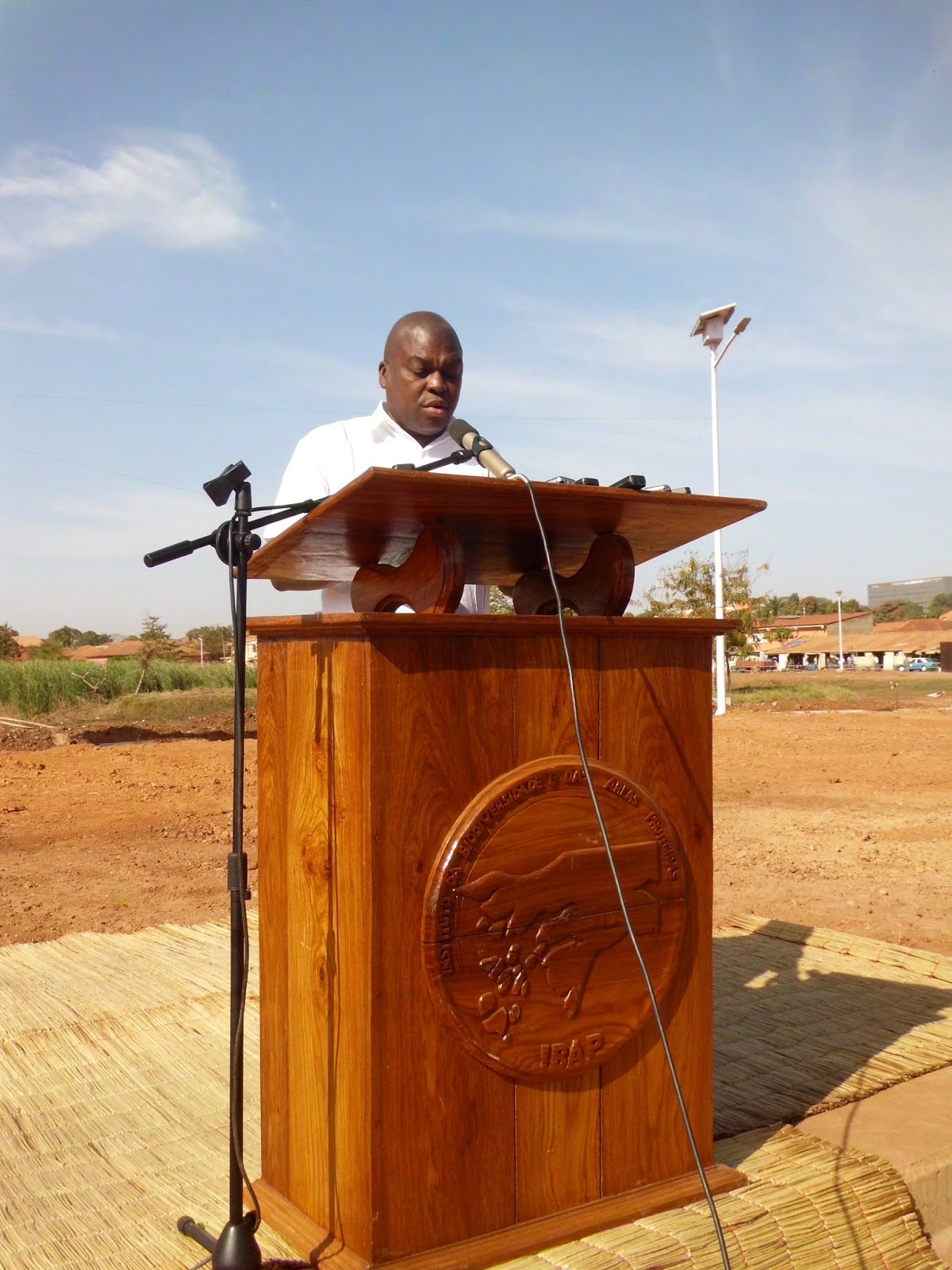 O AMBIENTE As zonas humidas da Guiné estao ameaçadas Alfredo Simoes