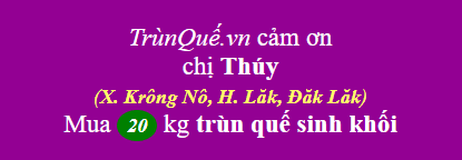 Trùn quế xã Krông Nô