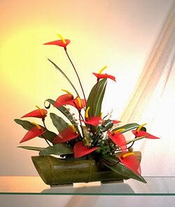 Cắm hoa nhà thờ