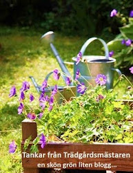 En härlig blogg om trädgård!