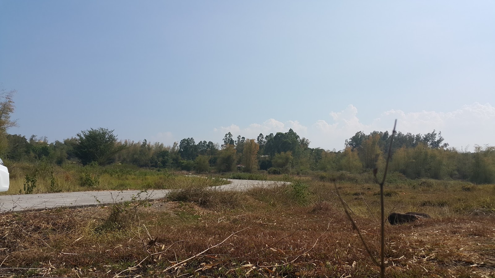 HOUSES AND LOTS FOR SALE CARDONA RIZAL LAND FOR HOUSING DEVELOPMENT