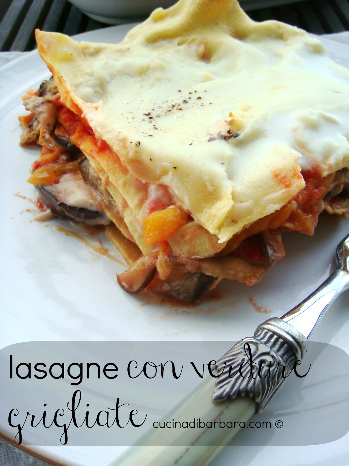 Cucina di Barbara food blog - blog di cucina ricette: Ricetta lasagne ...