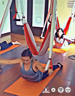 aeroyoga, air yoga, body, columpio, cursos, fly, flying, formacion, instructor, instructorado, maestria, mexico, profesorado, teacher training, trapeze, yoga, yoga aereo