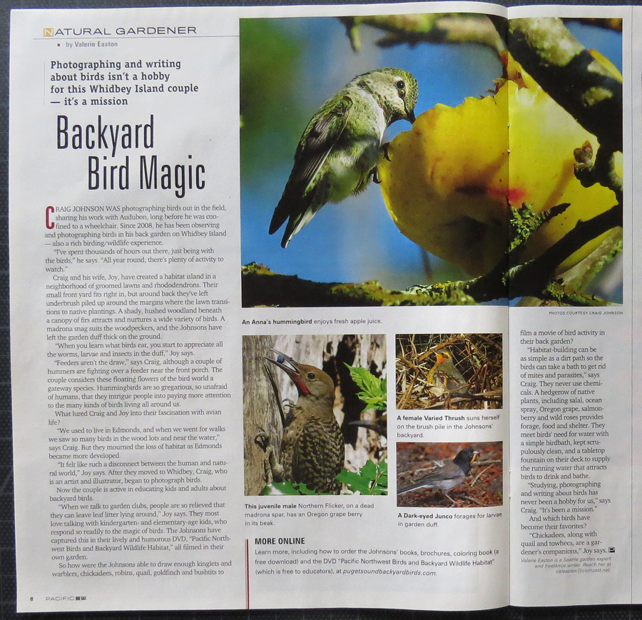 Puget Sound Backyard Birds Backyard Bird Magic Pacific Northwest