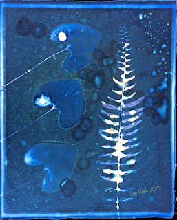 Wet Cyanotype_Sue Reno_Image 321