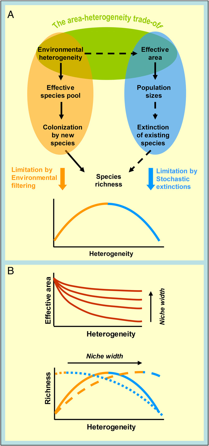 The EEB & Flow The contrasting effects of habitat area and