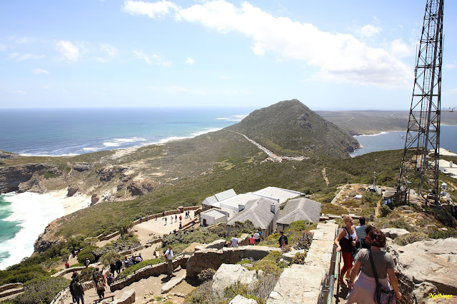 Ciudad del Cabo y Garden Route - Blogs de Sudáfrica - 21-11-18. Península del Cabo. (5)