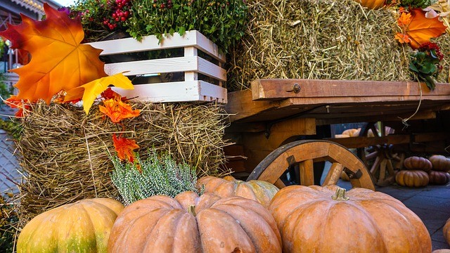 Freebie Wednesday Fall Pumpkin Pictures, Fall Leaves