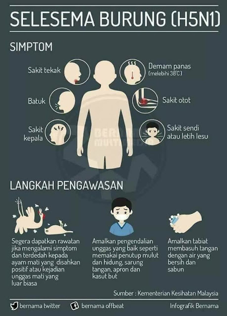 Simptom H5N1 di Kelantan