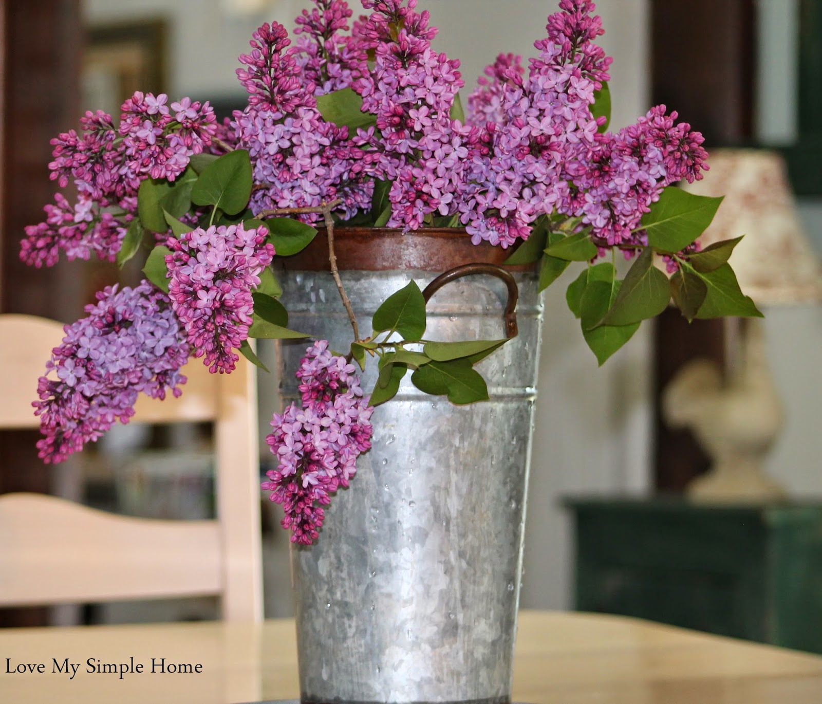 The Joy Of Lilacs | Love My Simple Home