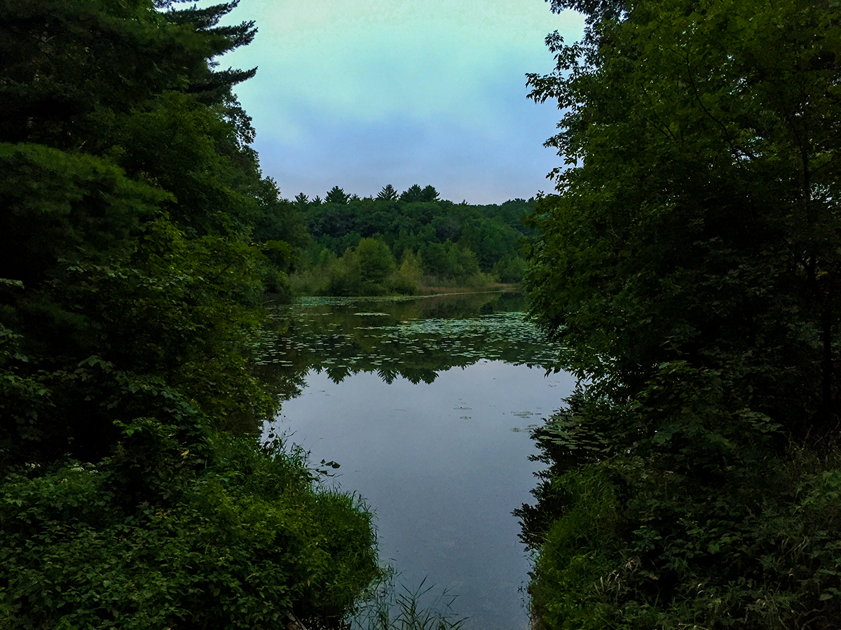 Hiking the Ice Age Trail Skunk and Foster Lakes Segment