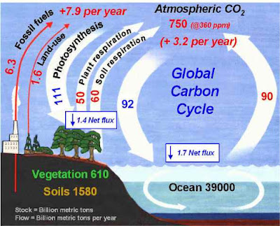 دراسة تؤكد أن الأرض قد تتفرد بالحياة في هذا الكون Carbon_cycle