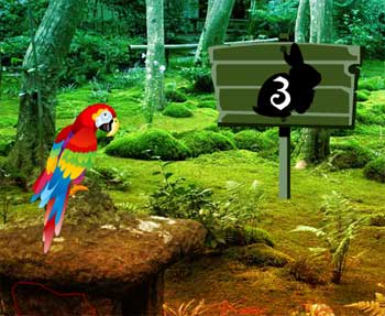 Scarlet Macaw Forest Escape Juegos de Escape - Scarlet Macaw Forest Escape