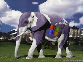 Funny Images