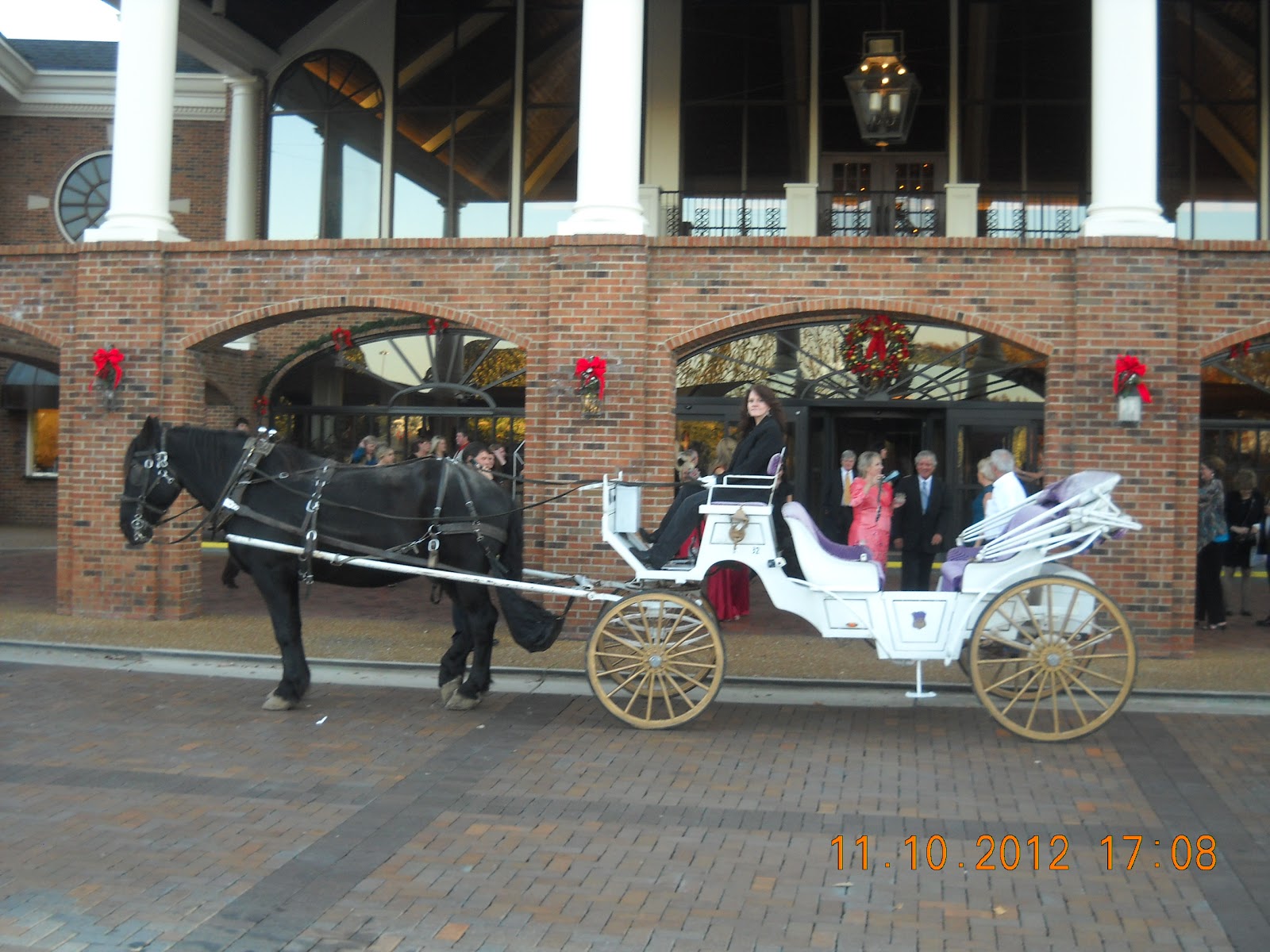 Sugar Creek Carriages Horse Drawn Wedding Carriage