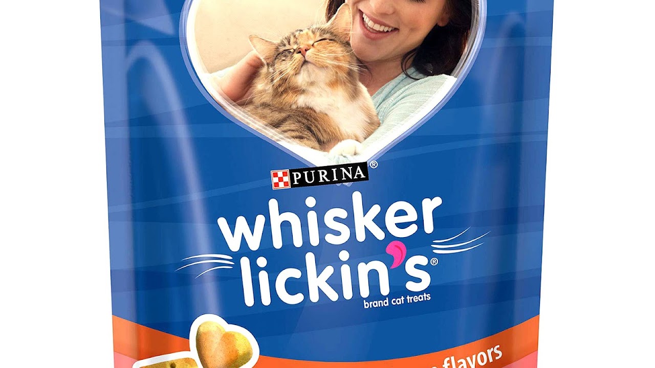 Soft Food For Cats Cat Choices