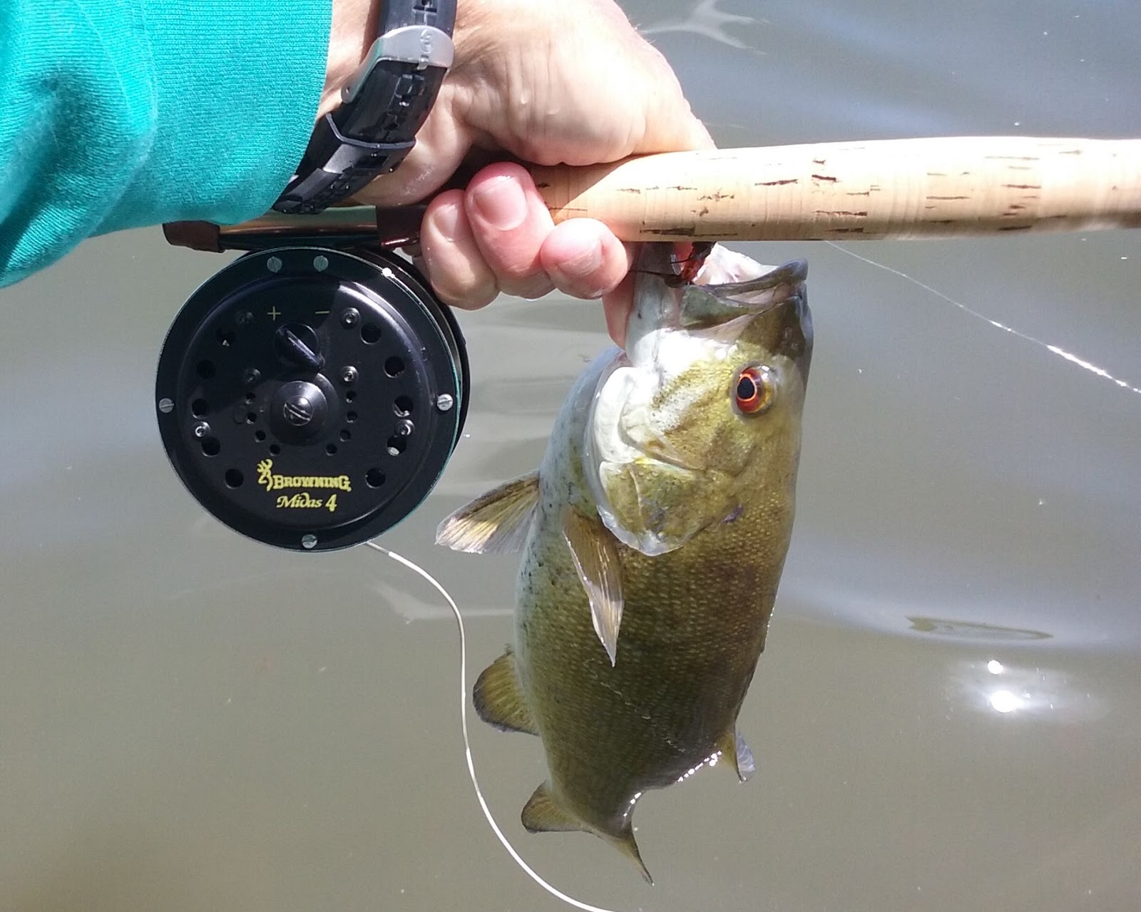 Reel for an 8 weight, Classic Fly Reels