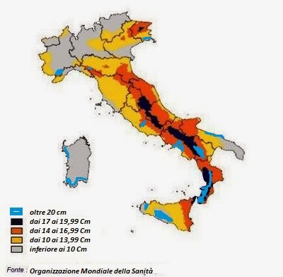 dimensione media del pene eretto