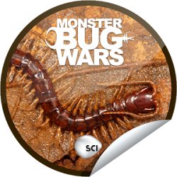 bug monster wars centipede tailed stripe rabu