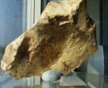 Tyrannosaurus Rex Face Profile in this Flint Tool?
