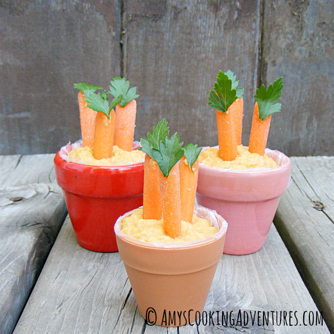 Carrots & Hummus a FUN After School Snack