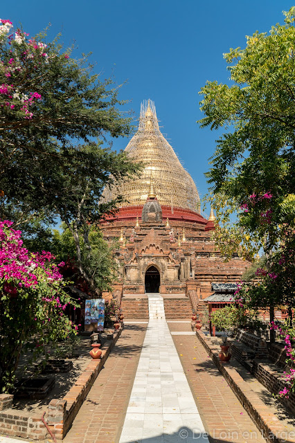 Pagode Dhammayazaka Zedi - Bagan - Birmanie Myanmar