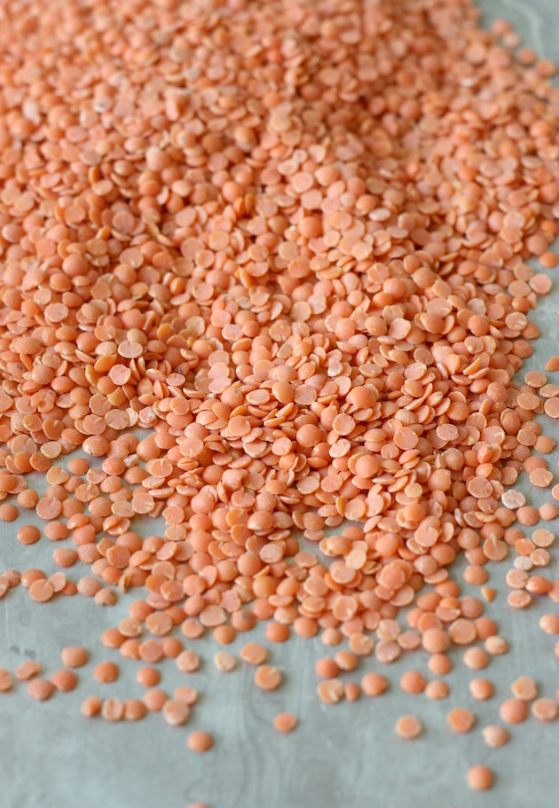 red lentils for coconut curry soup by seasonwithspice.com
