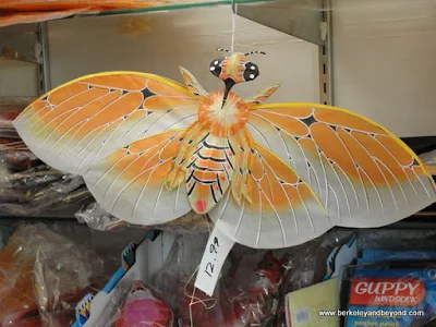 bug kite at Chinatown Kite Shop in San Francisco