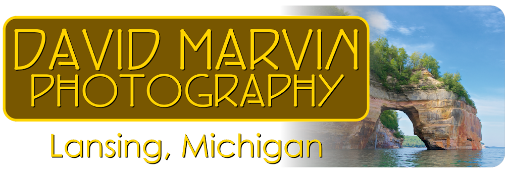 David Marvin Photography - Lansing, Michigan