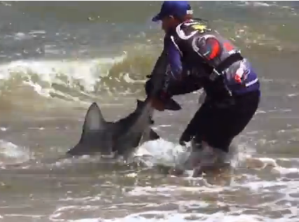 World Sharks News : SOUTH AFRICA: shore sharks fishing in this video