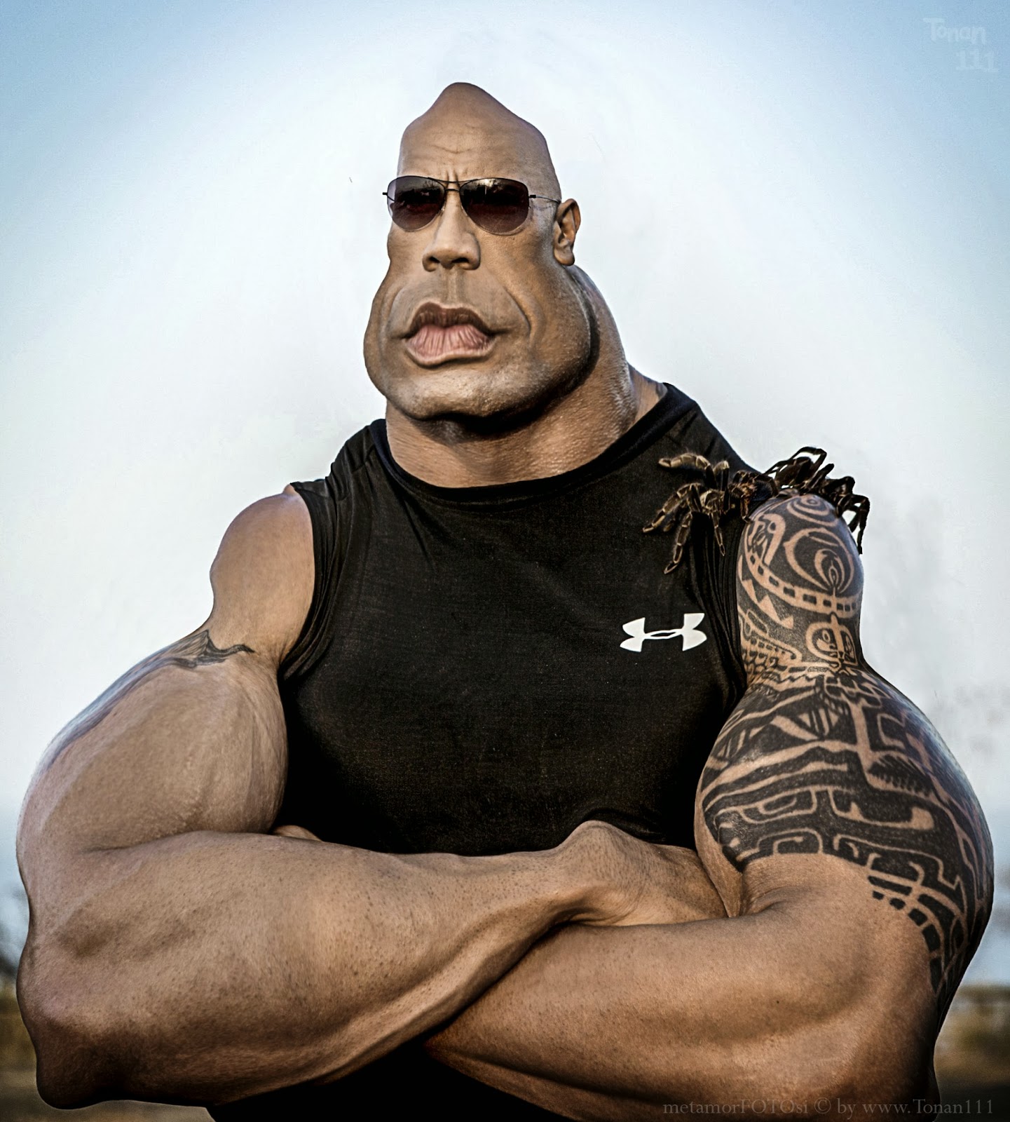 The Charismatic Conqueror: Dwayne Johnson's WWE Legacy