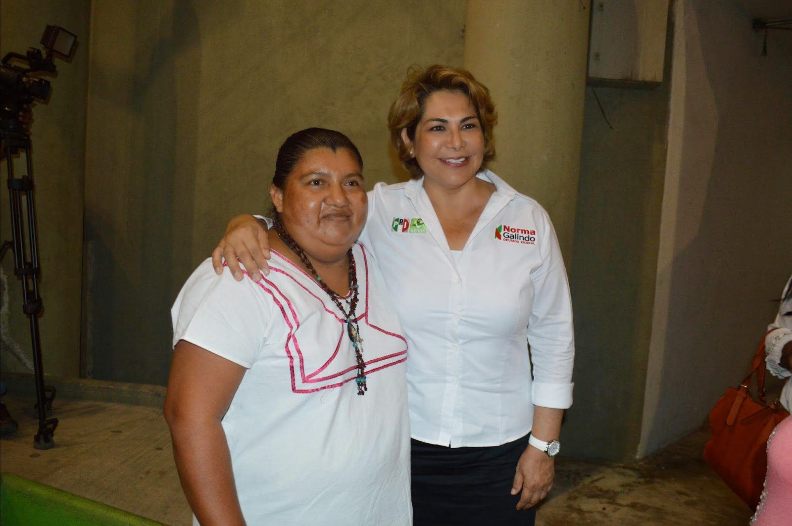 Periódico El Alacrán NORMA GALINDO SE COMPROMETE A PROPONER LEYES DE