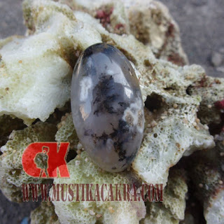 Mustika Naga Tersakti Mustika Naga Tersakti