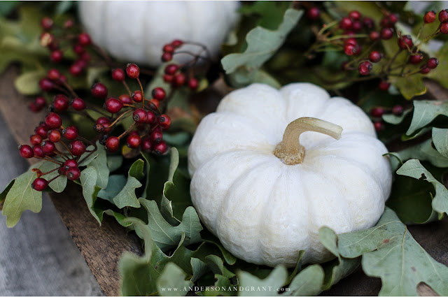 Learn to layer pieces of nature gathered outdoors to create a simple yet stylish centerpiece for your fall or Thanksgiving dinner table.  |  www.andersonandgrant.com