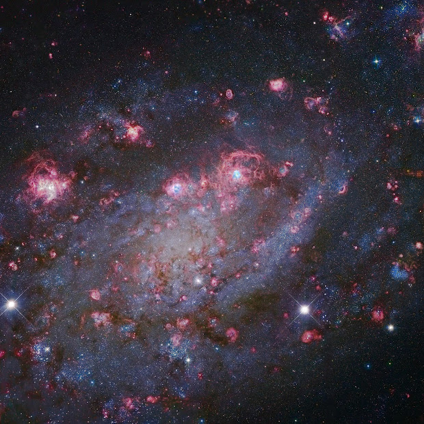 Spiral Galaxy NGC 2403 with Giant Star-Forming HII Regions