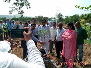 Gangavaram Port celebrates World Environment Day 2017 Gangavaram Port celebrates World Environment Day 2017