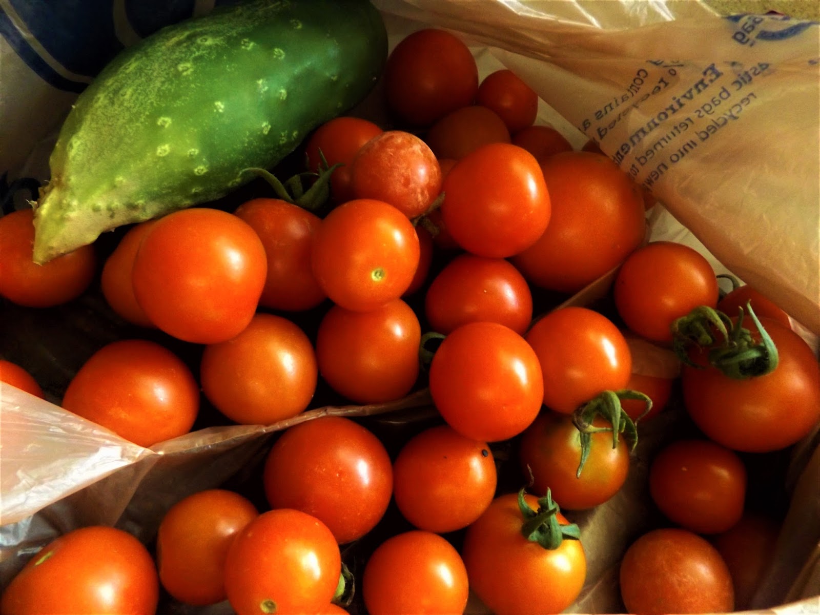 Vegans Living Off the Land Trying hairy ball fruit for the first time