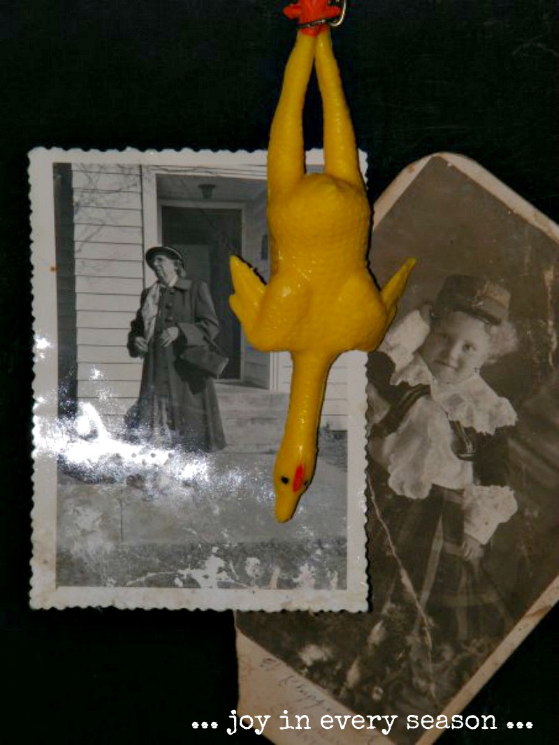 The Rubber Chicken Awards joy in every season