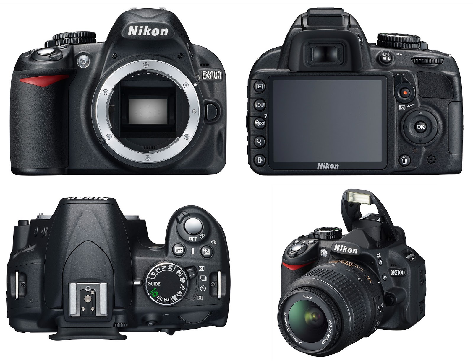 Nikon D3100 VS D5100 Which Nikon Type Are You? Cameras For Beginners