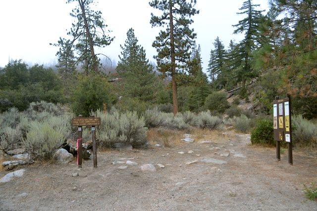 Silver Moccasin Trail