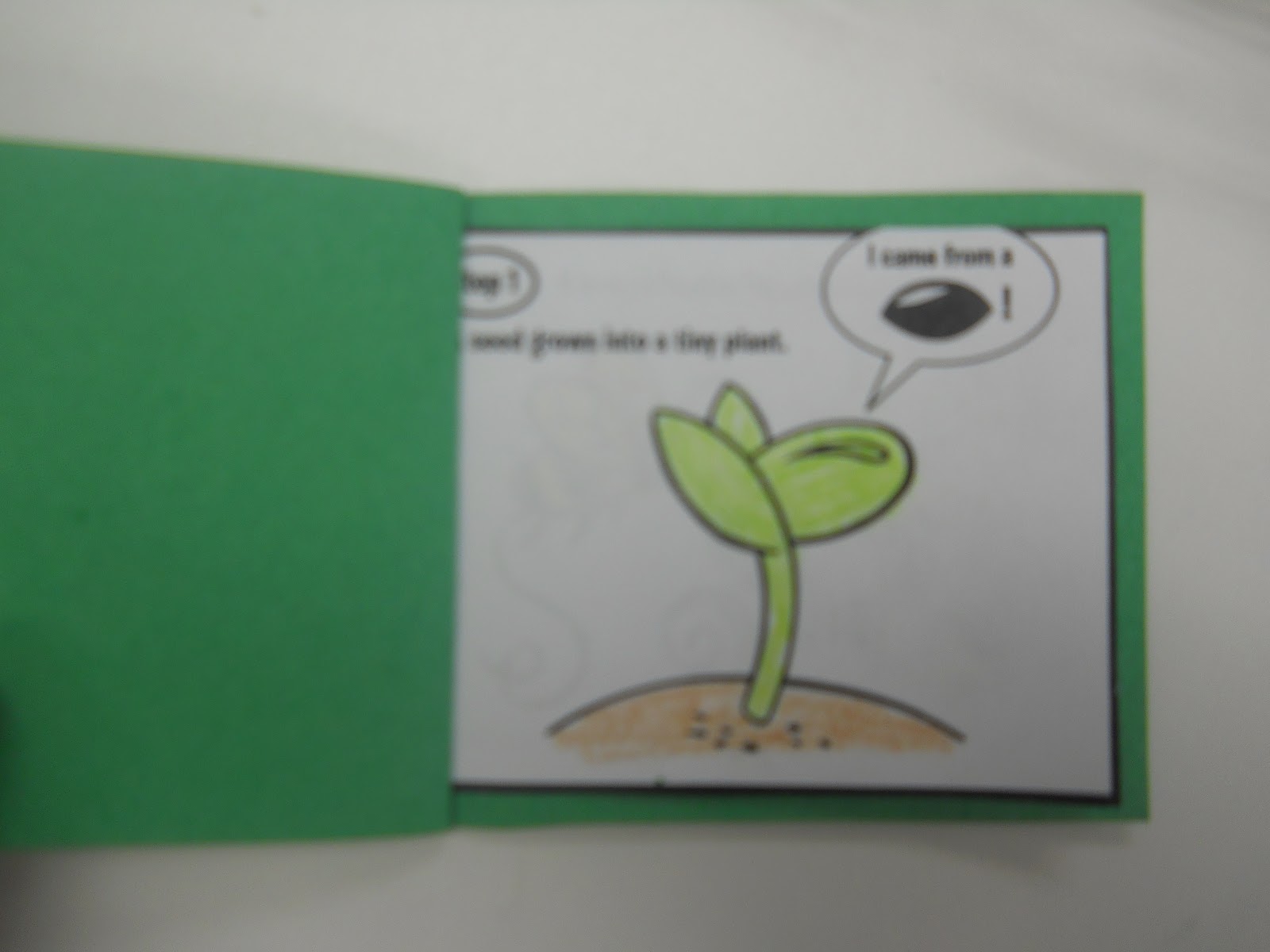 Mrs. T's First Grade Class: Watermelons