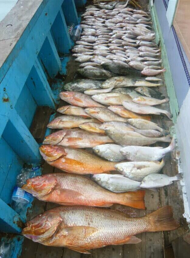 MALAYSIAN FISH HUNTER Kenali Cara cara memancing Ikan  