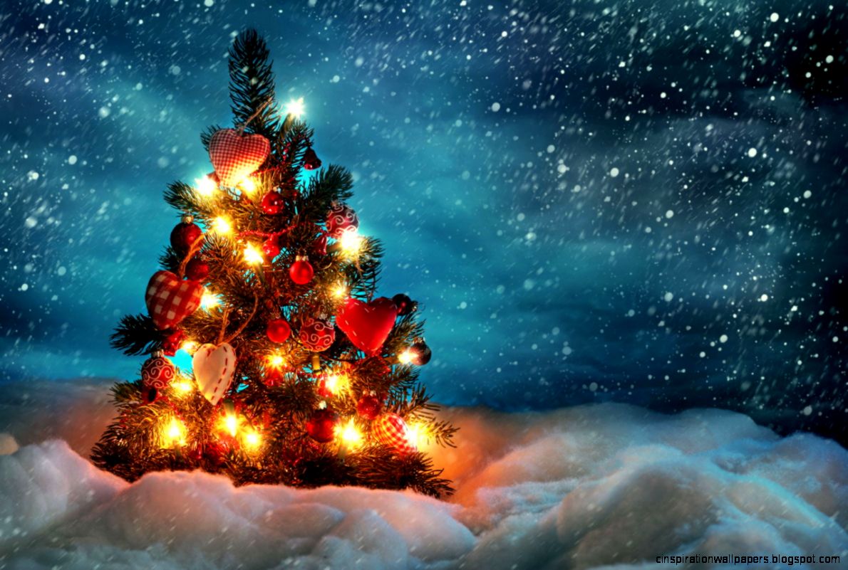 Christmas Tree Snow Wallpaper for Android   Android Live Wallpaper
