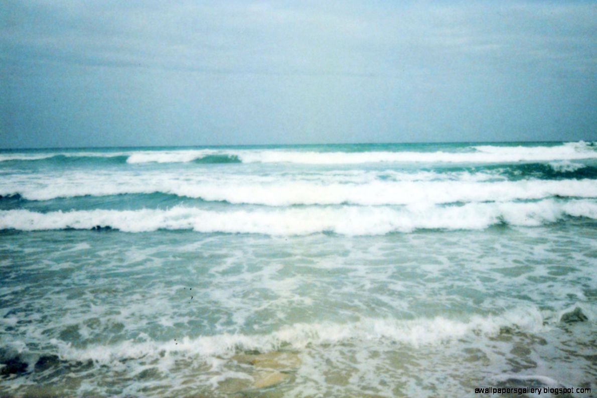 galaxy flower  Tumblr