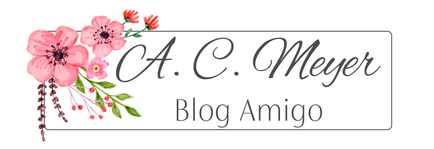 Blog Amigo