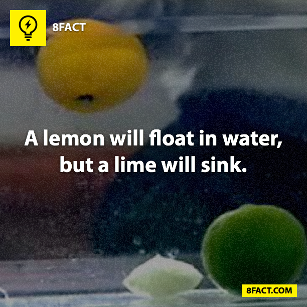 A lemon will float in water , but a lime will sink. 8FACT